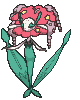 花潔夫人